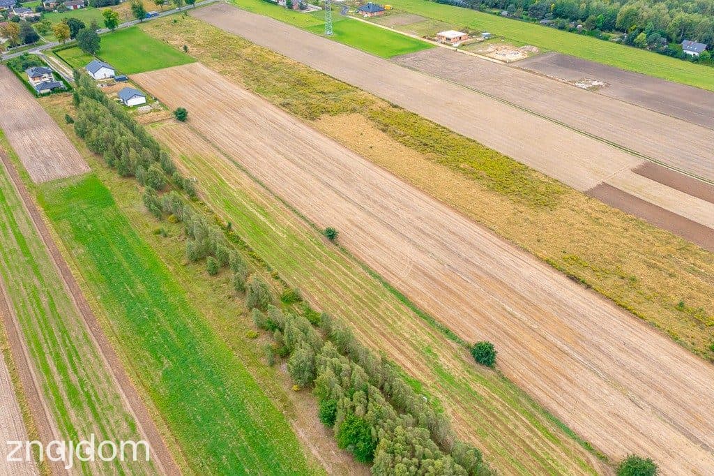 Spokojna działka 1400 m² | Skotniki | Media | WZ - zdjęcie 7