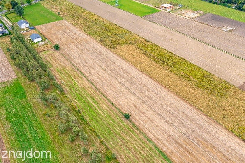 Spokojna działka 1400 m² | Skotniki | Media | WZ - zdjęcie 8