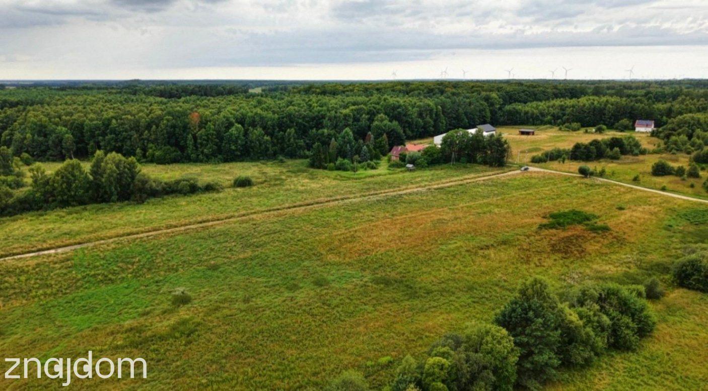 Działka budowlana 1560 m² | MPZP | Sycewice k. Słupska | 115 000 zł - zdjęcie 5
