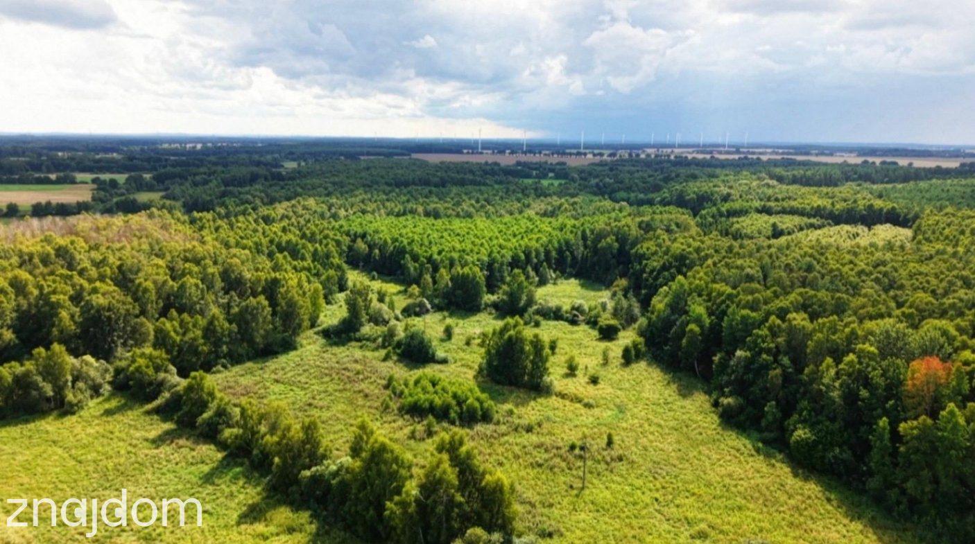 Działka budowlana 1560 m² | MPZP | Sycewice k. Słupska | 115 000 zł - zdjęcie 6