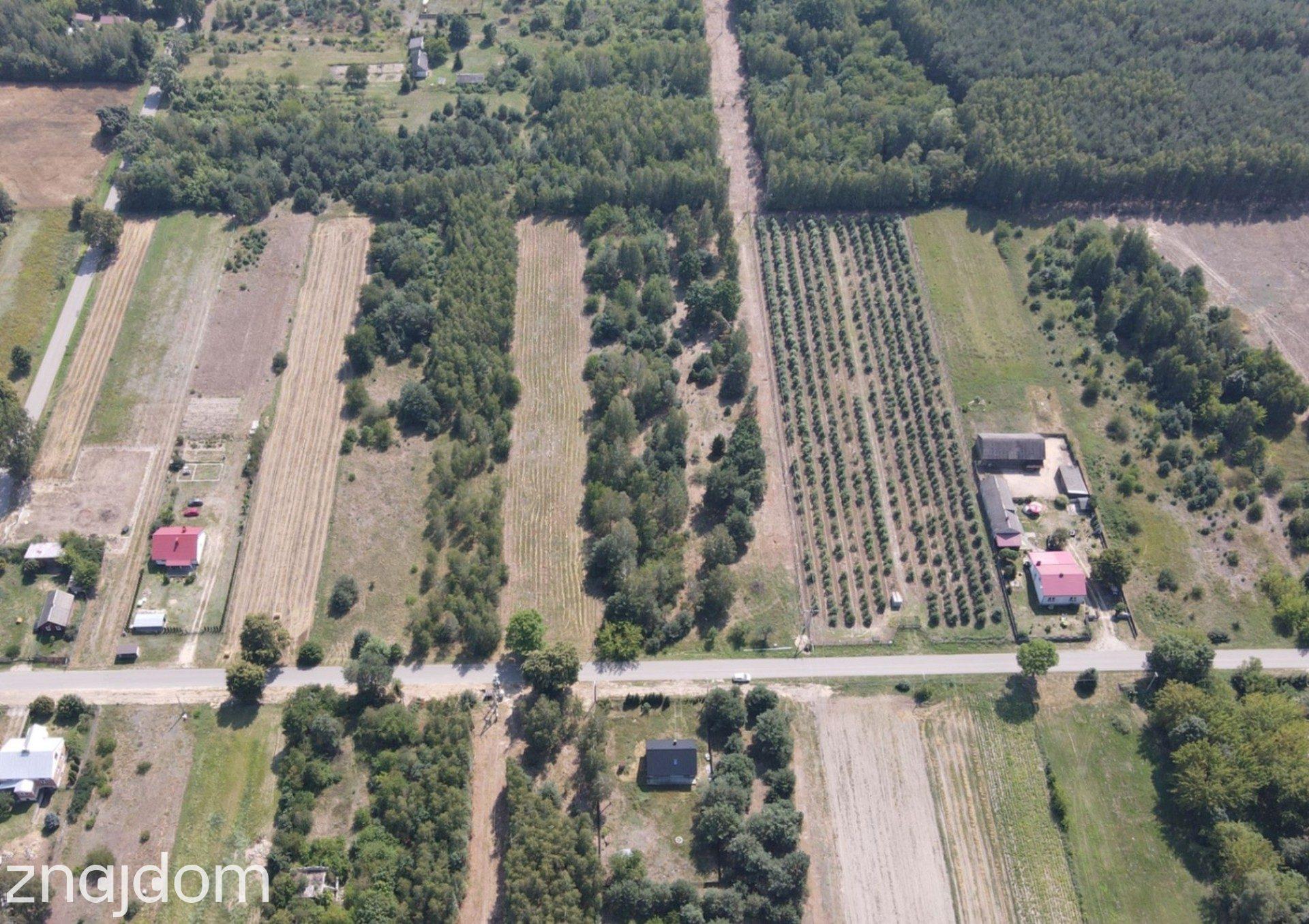 Dziecinów | działka 4 848 m² - zdjęcie 2