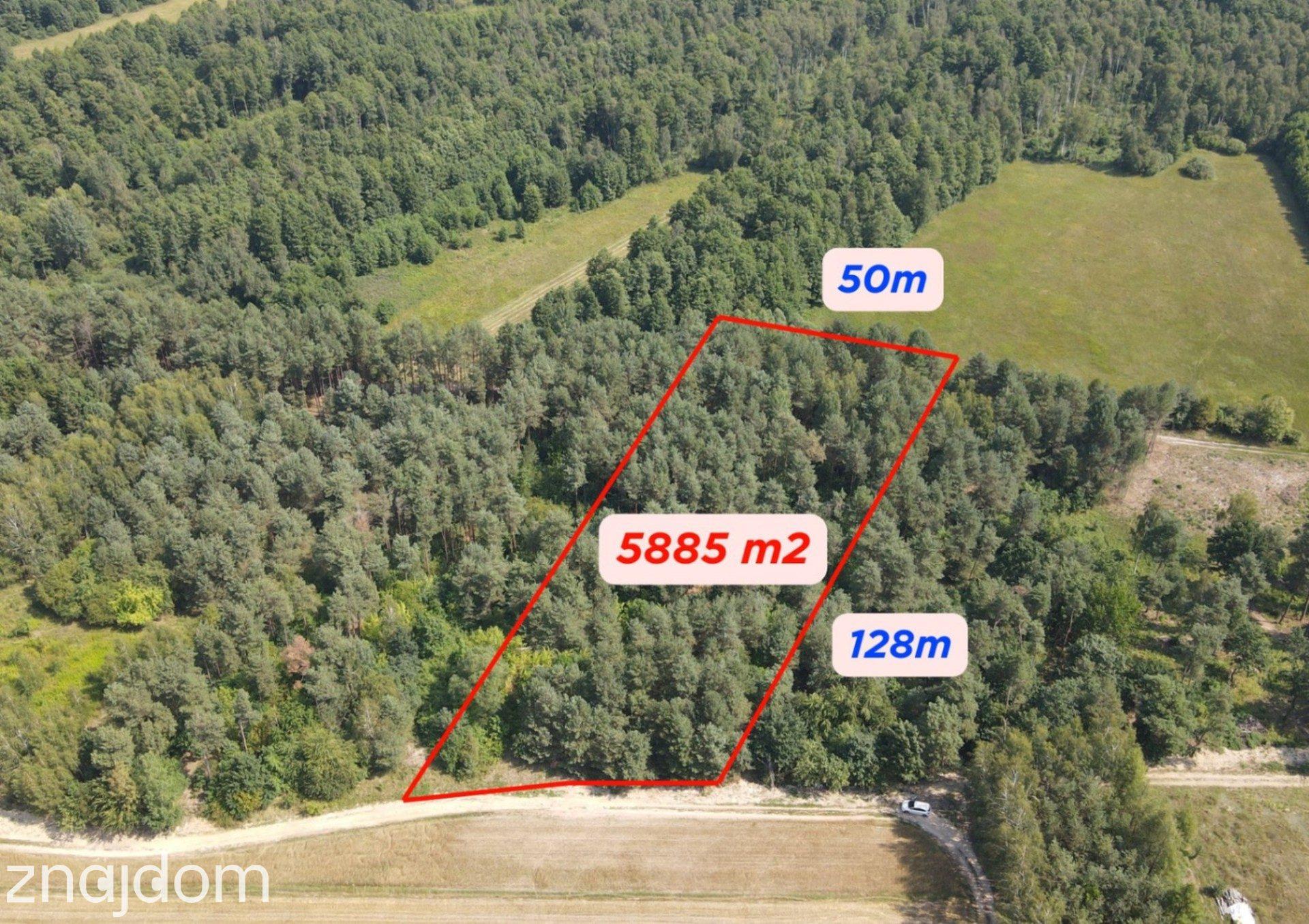 Dziecinów | działka rolna 5 885 m²