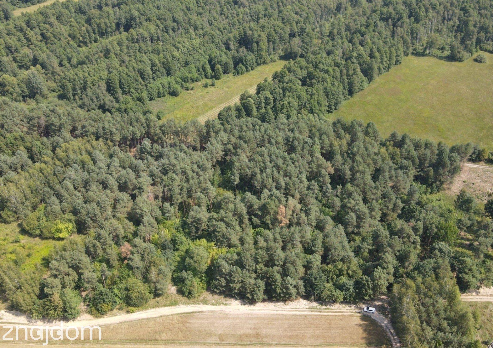 Dziecinów | działka rolna 5 885 m² - zdjęcie 2