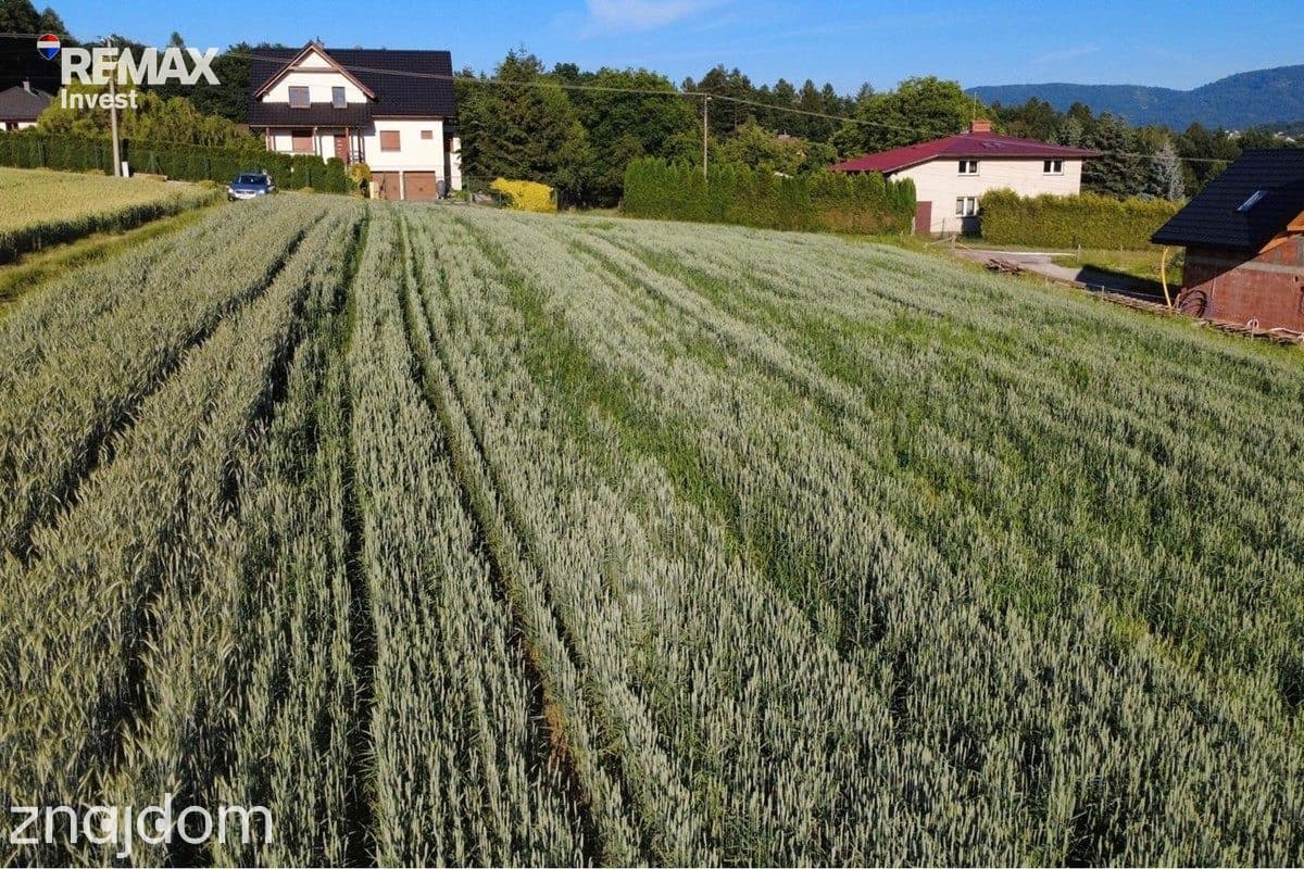 Duża działka z potencjałem | 2877 m² - zdjęcie 16