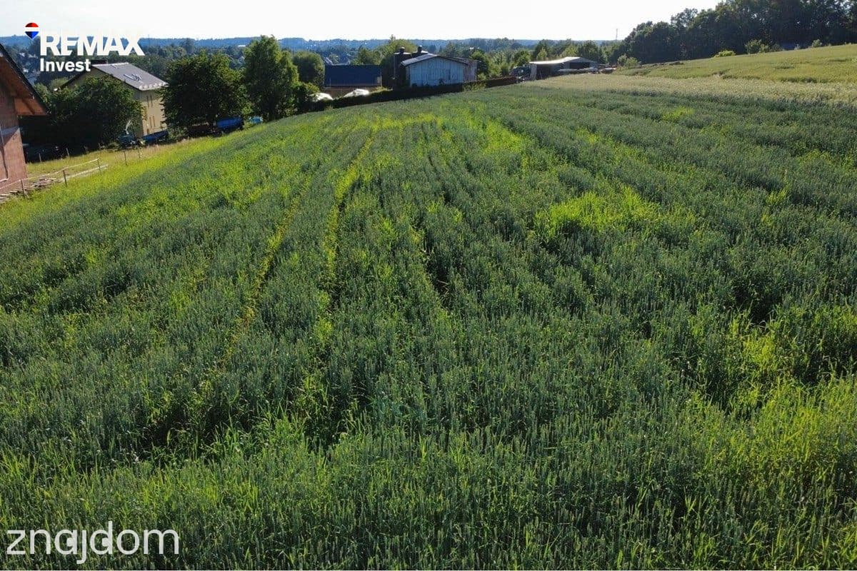 Działka z potencjałem | 1438 m² - zdjęcie 15