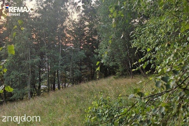 Cisza, las i górski klimat - zdjęcie 9