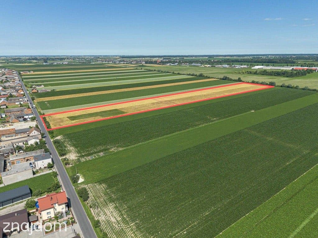 Grunty Rolne 5,80 Ha Magdalenki, Wlkp Klasa III - zdjęcie 2