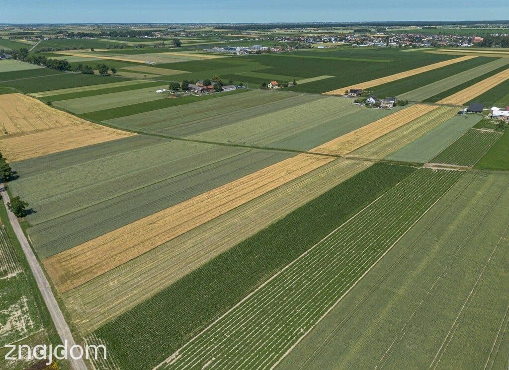 Grunty Rolne 5,80 Ha Magdalenki, Wlkp Klasa III - zdjęcie 4