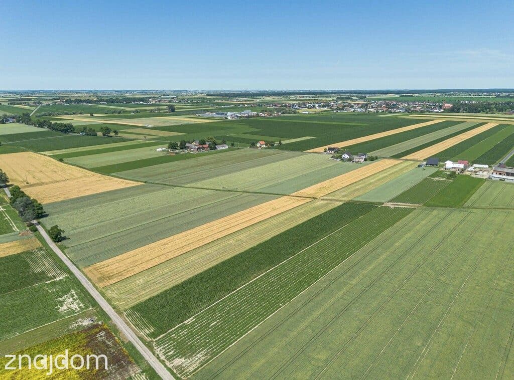 Grunty Rolne 5,80 Ha Magdalenki, Wlkp Klasa III - zdjęcie 5