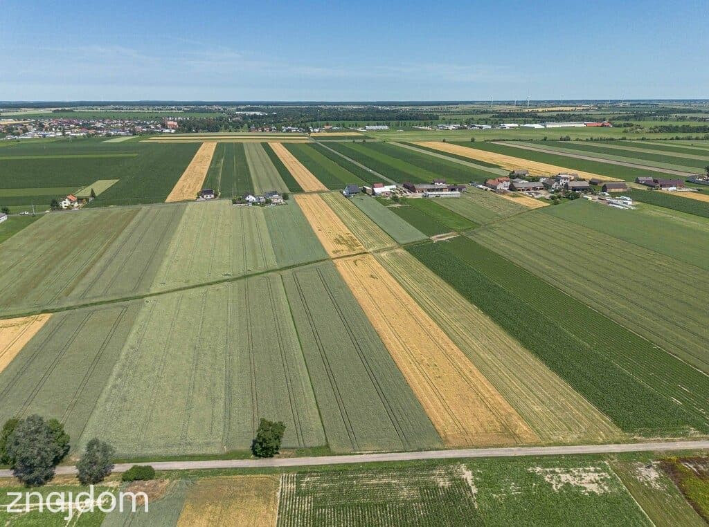 Grunty Rolne 5,80 Ha Magdalenki, Wlkp Klasa III - zdjęcie 6