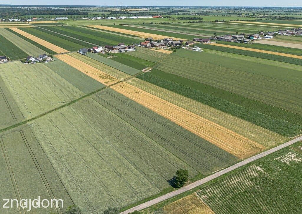 Grunty Rolne 5,80 Ha Magdalenki, Wlkp Klasa III - zdjęcie 7