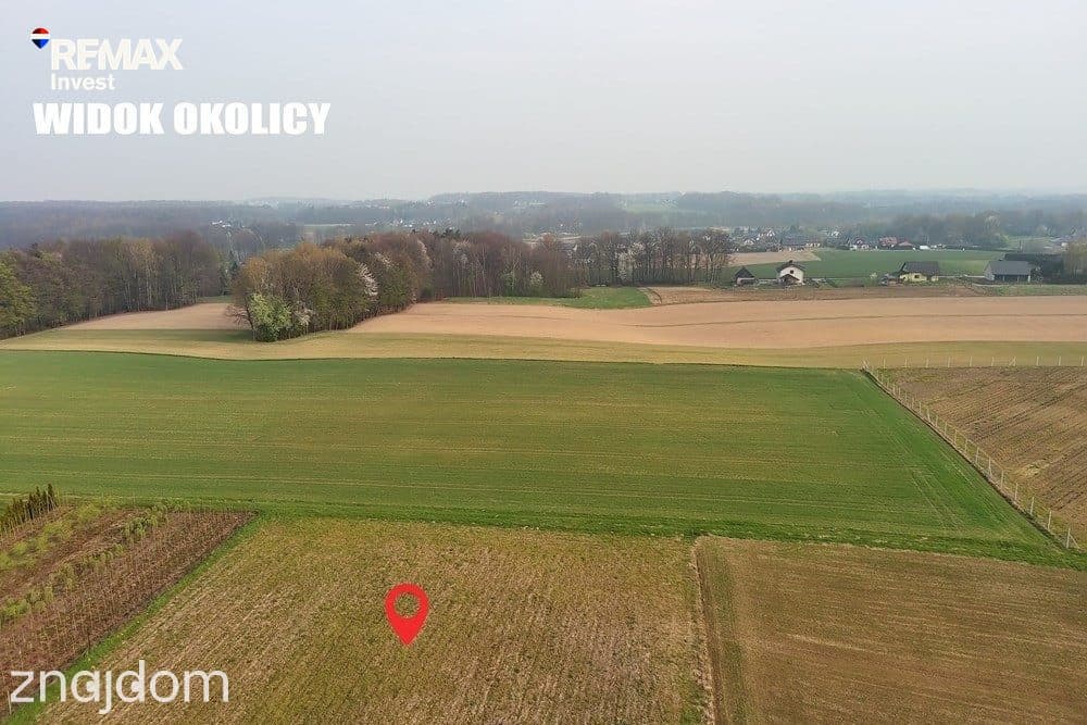 Atrakcyjna działka budowlana/Pisarzowice - zdjęcie 8