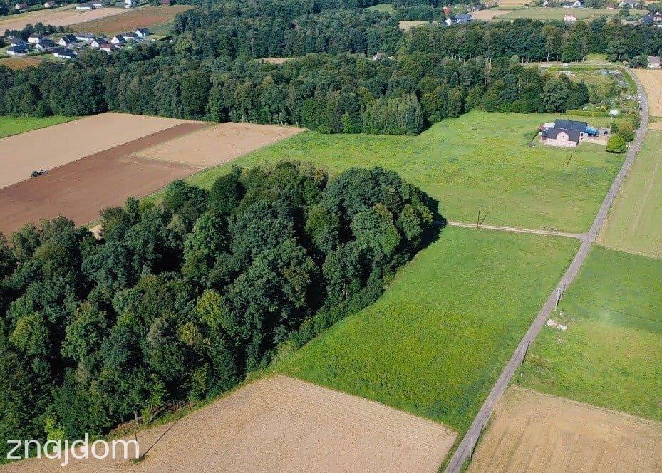 Widokowa działka budowlana w Pisarzowicach - zdjęcie 8