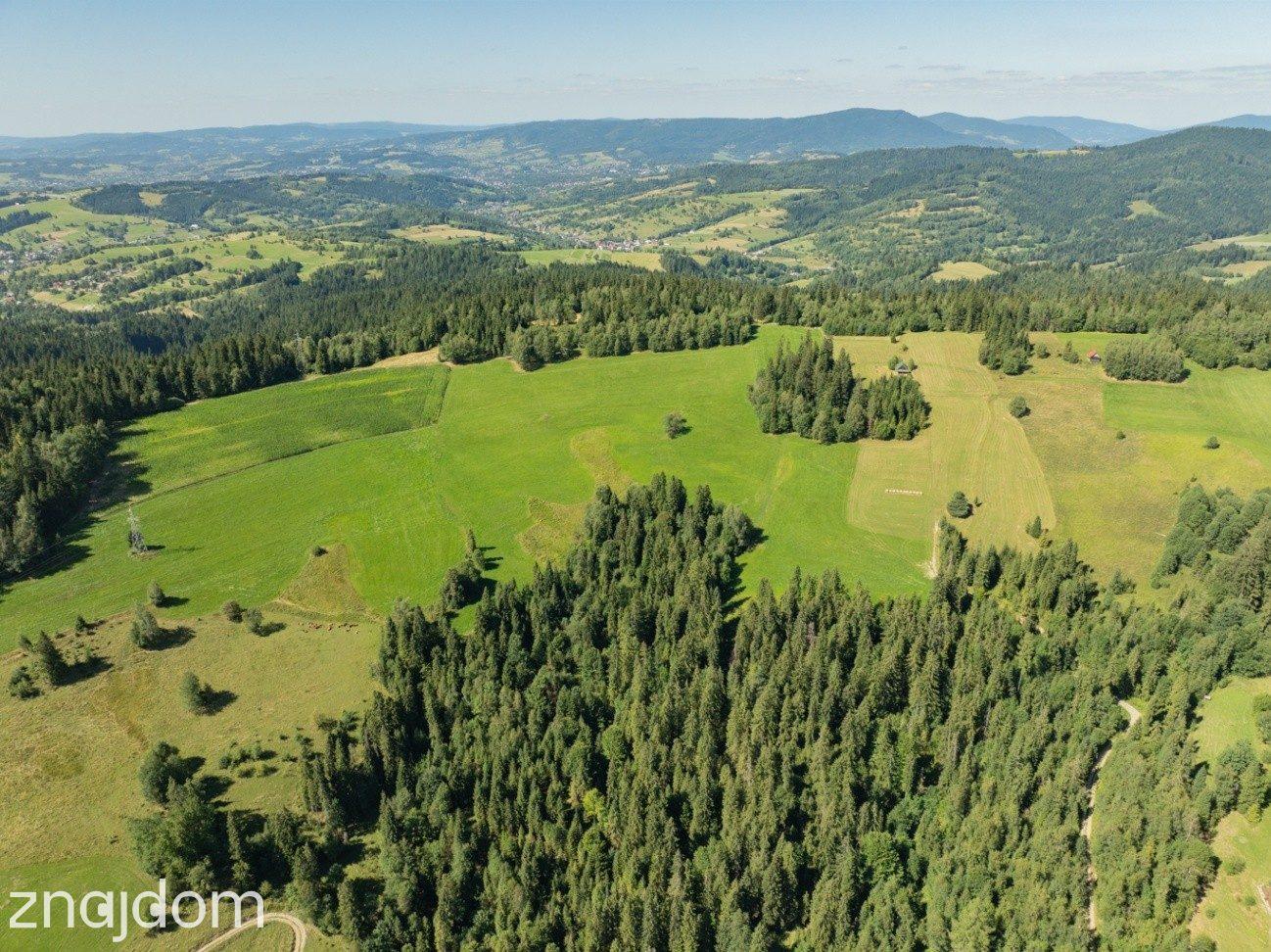 Działka rolno-leśna Obidowa - zdjęcie 5