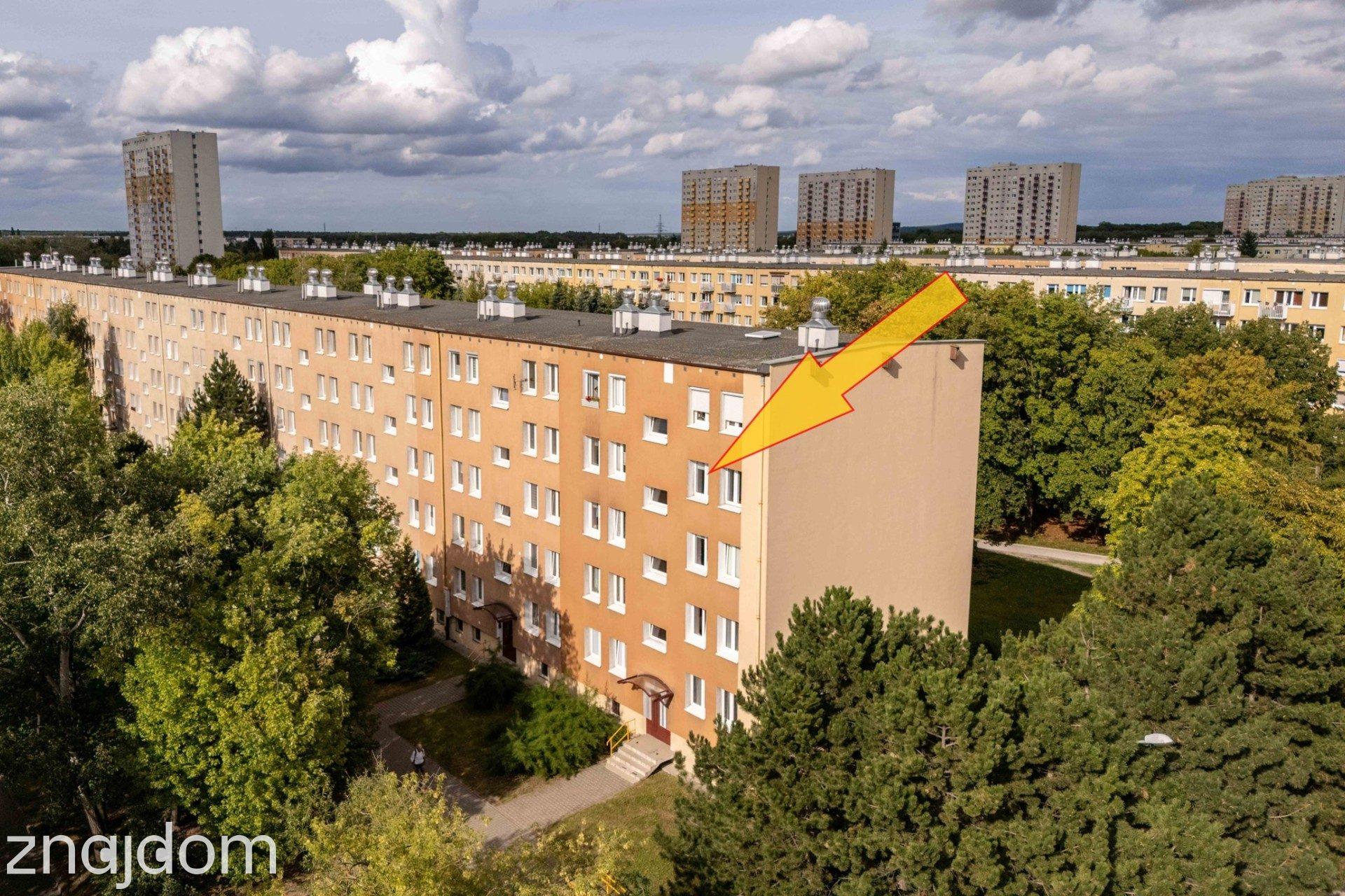 Przy Galerii Plaza, bardzo zadbane, wśród zieleni - zdjęcie 16
