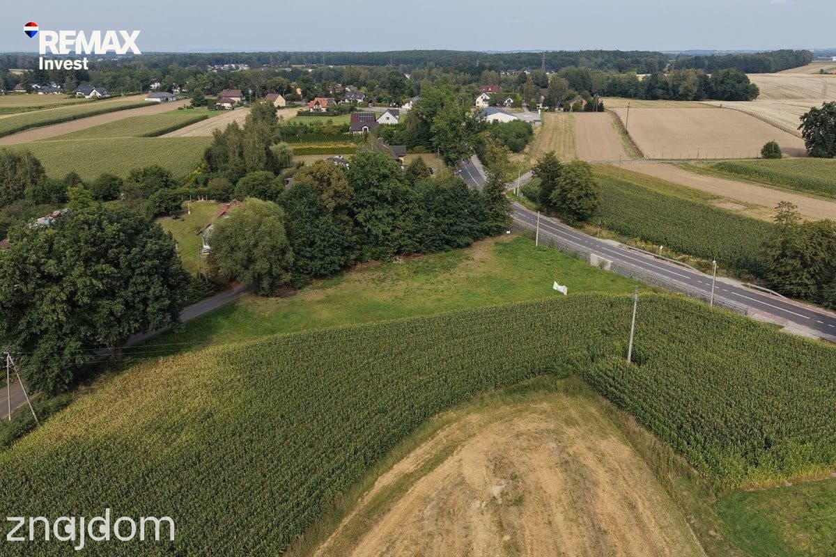 Dankowice 2464 m² MNU | 1,6 km do węzła S1 | Media - zdjęcie 4