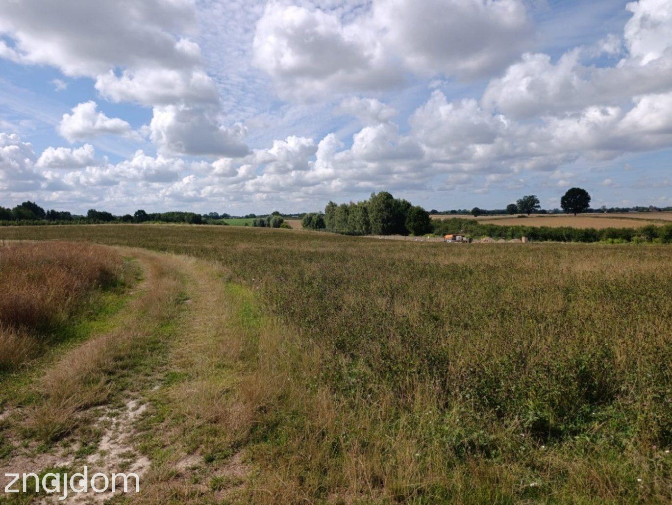 Działka Budowlana 2663 m² w Panieńszczyźnie! - zdjęcie 10