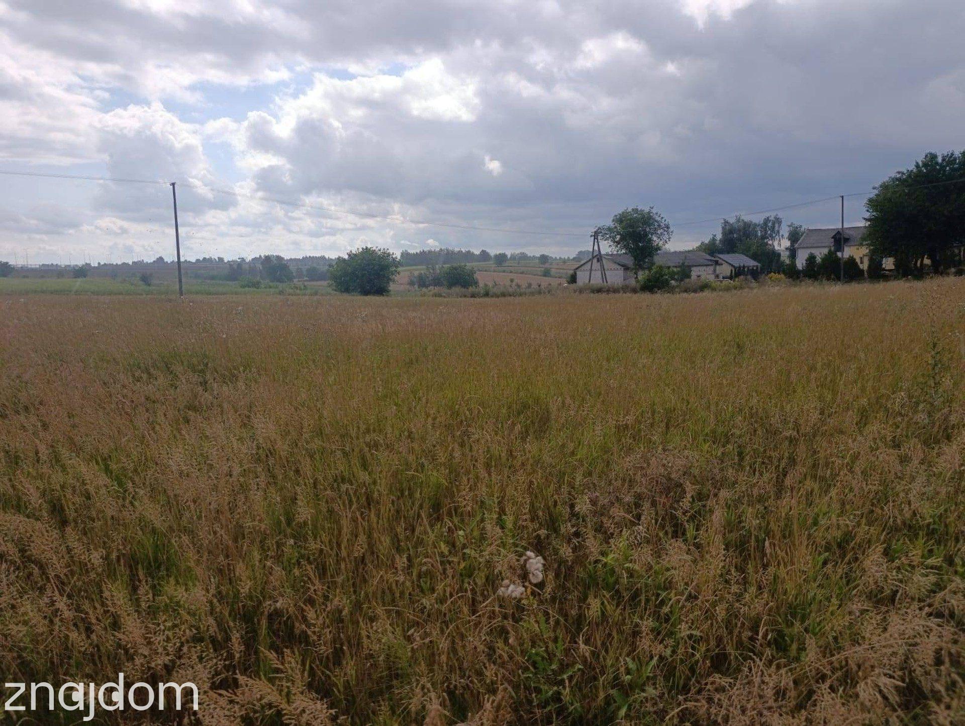 Działka Budowlana 2663 m² w Panieńszczyźnie! - zdjęcie 3