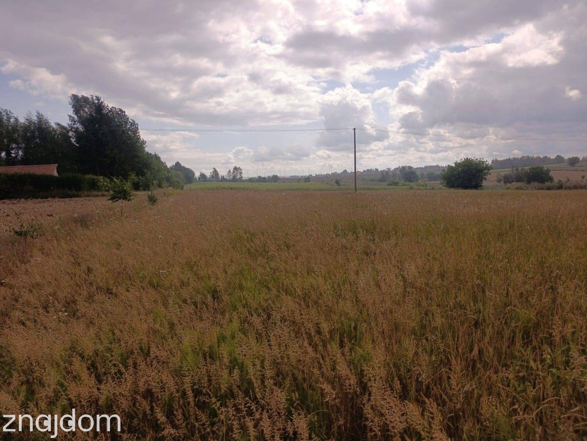 Działka Budowlana 2663 m² w Panieńszczyźnie! - zdjęcie 4