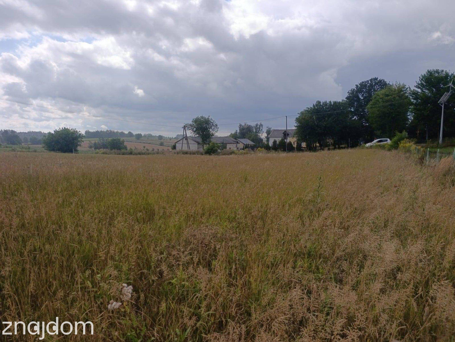 Działka Budowlana 2663 m² w Panieńszczyźnie! - zdjęcie 5