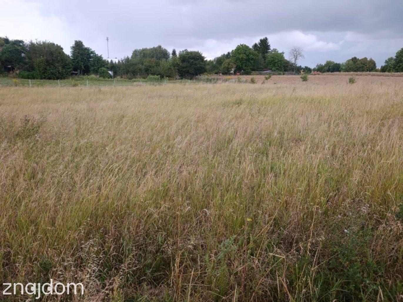 Działka Budowlana 2663 m² w Panieńszczyźnie! - zdjęcie 6