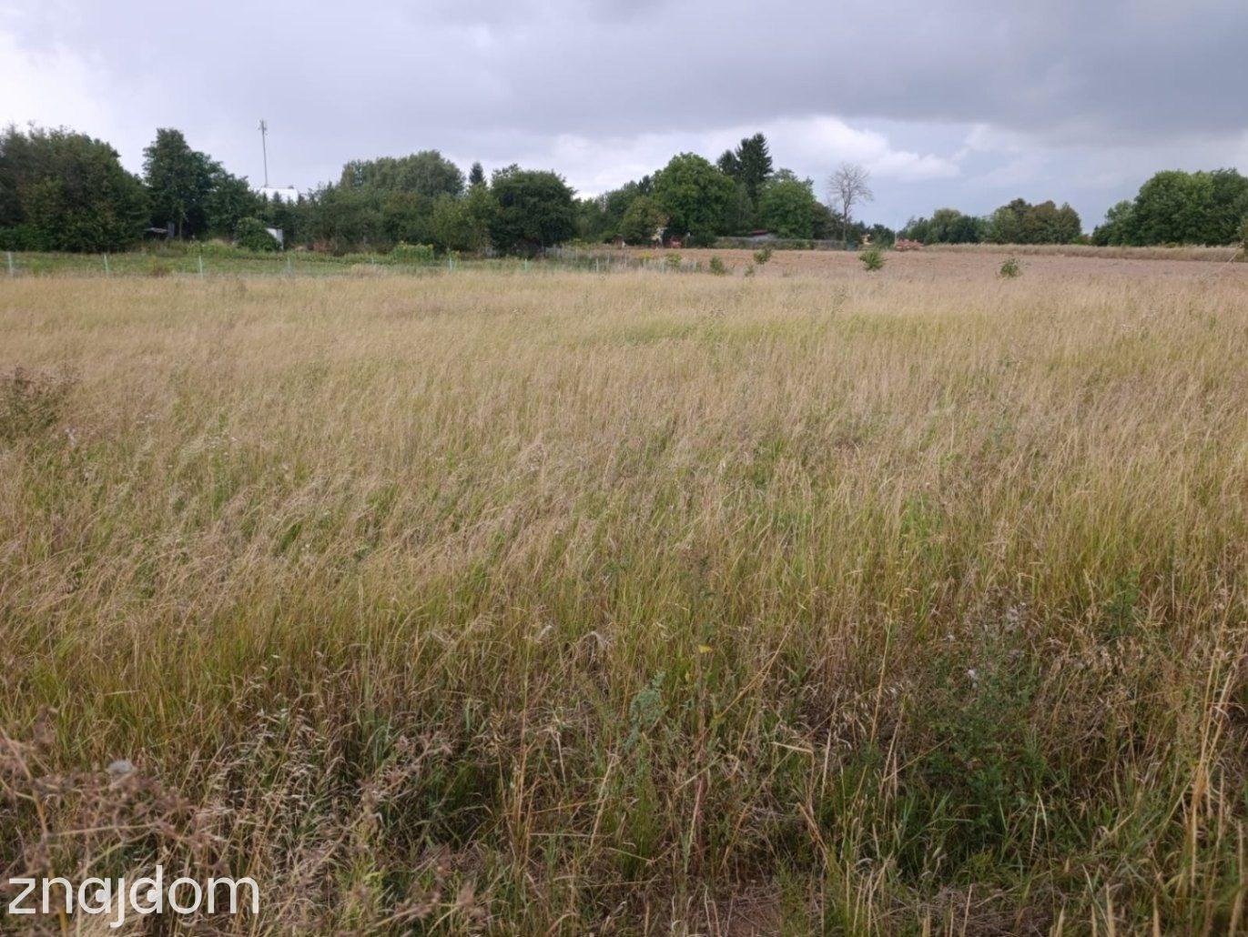 Działka Budowlana 2663 m² w Panieńszczyźnie! - zdjęcie 7