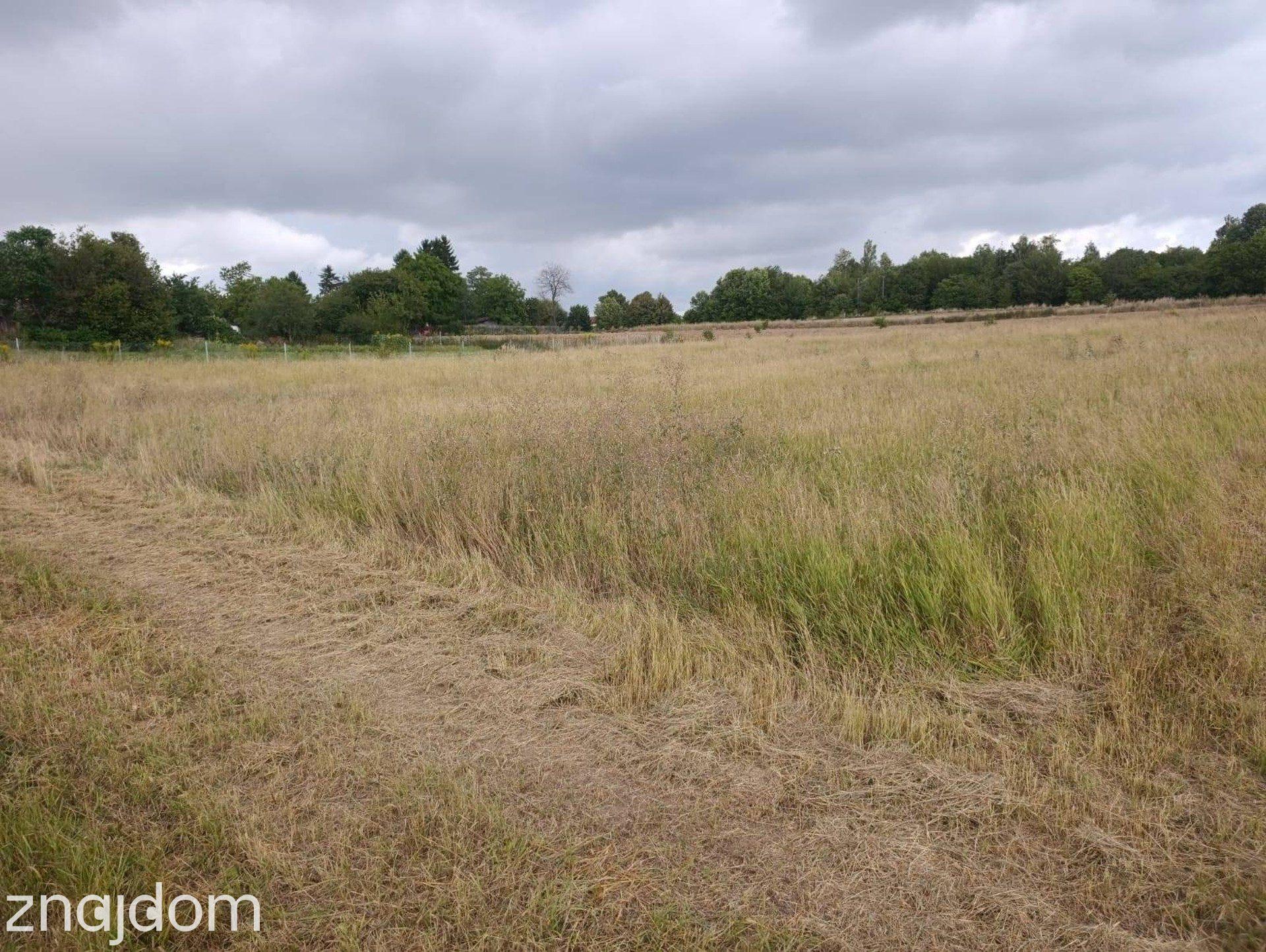 Działka Budowlana 2663 m² w Panieńszczyźnie! - zdjęcie 8
