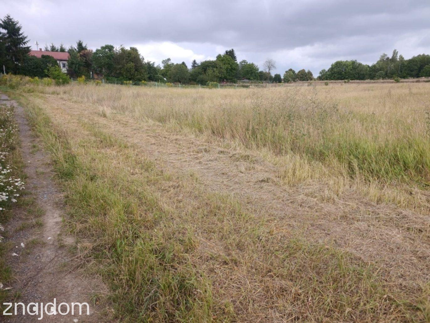 Działka Budowlana 2663 m² w Panieńszczyźnie! - zdjęcie 9