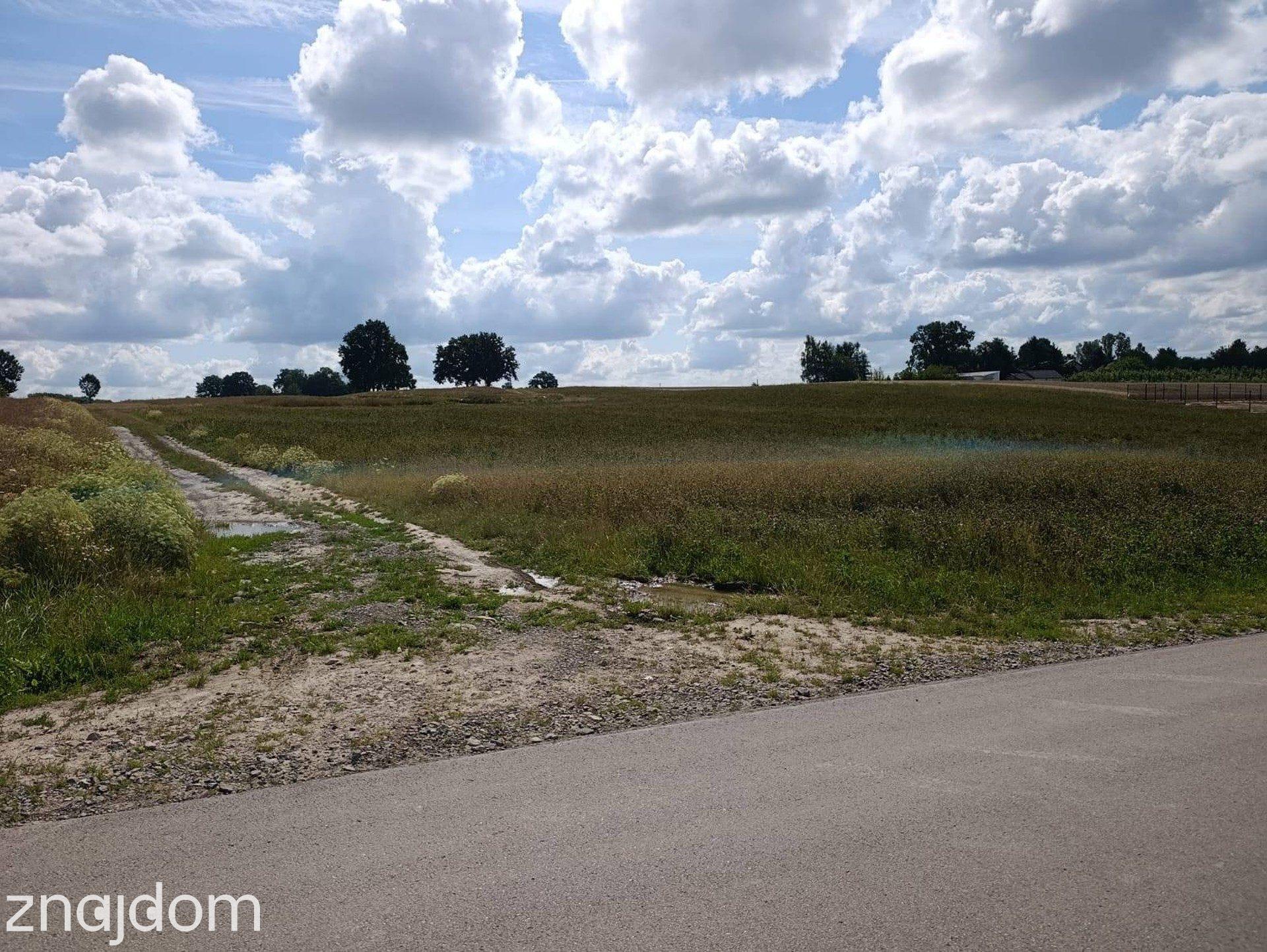 #Działka z potencjałem inwestycyjnym blisko miasta#Płouszowice#0.88ha - zdjęcie 10