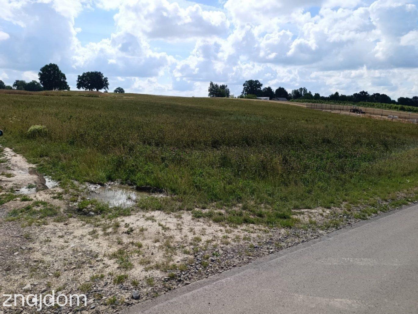 #Działka z potencjałem inwestycyjnym blisko miasta#Płouszowice#0.88ha - zdjęcie 3