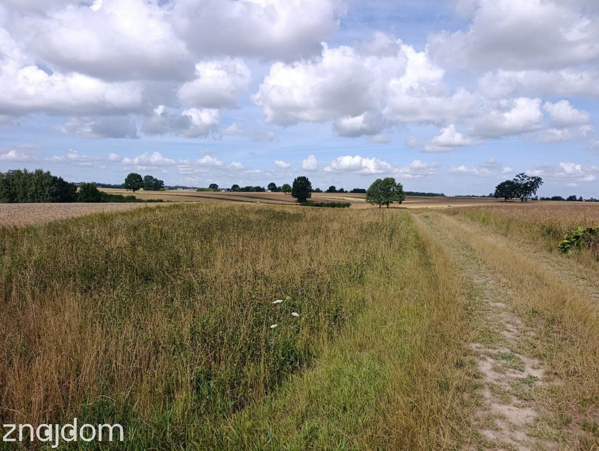#Działka z potencjałem inwestycyjnym blisko miasta#Płouszowice#0.88ha - zdjęcie 4