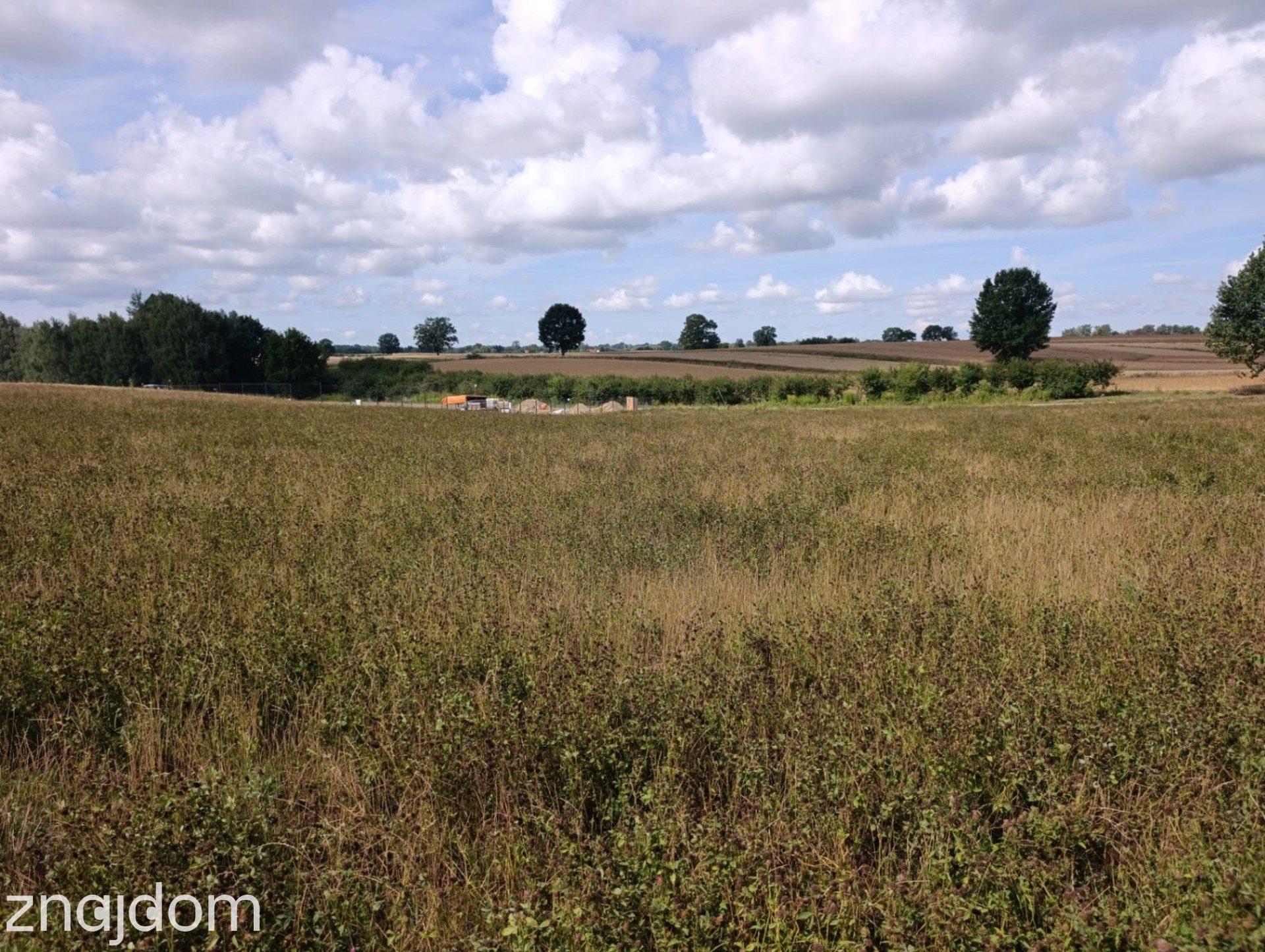 #Działka z potencjałem inwestycyjnym blisko miasta#Płouszowice#0.88ha - zdjęcie 5