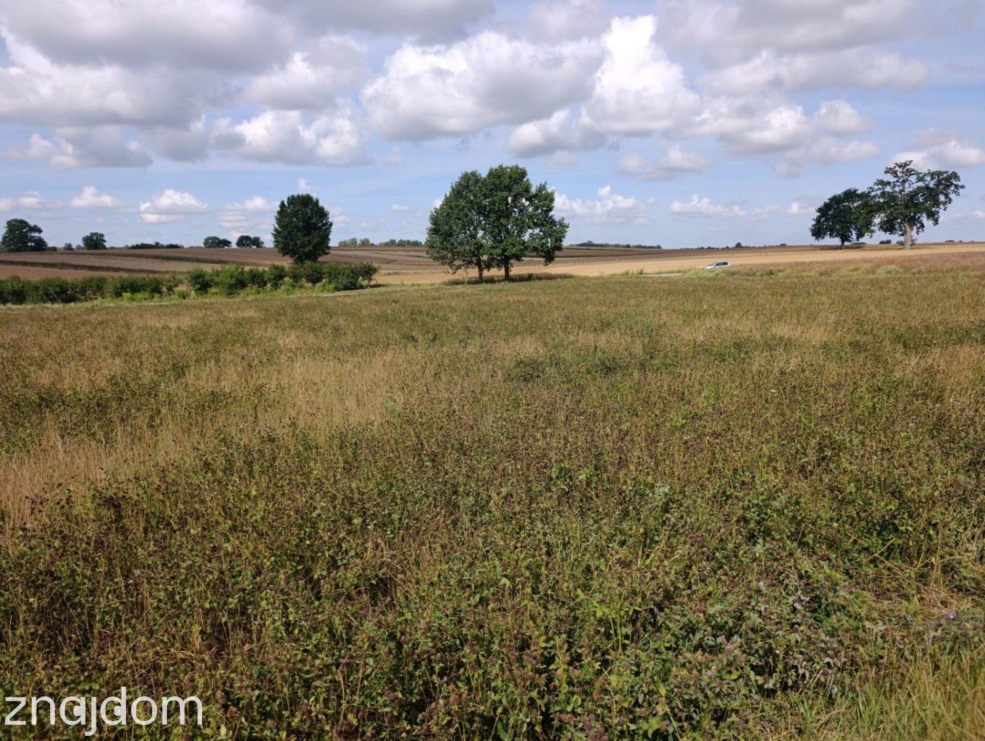#Działka z potencjałem inwestycyjnym blisko miasta#Płouszowice#0.88ha - zdjęcie 6
