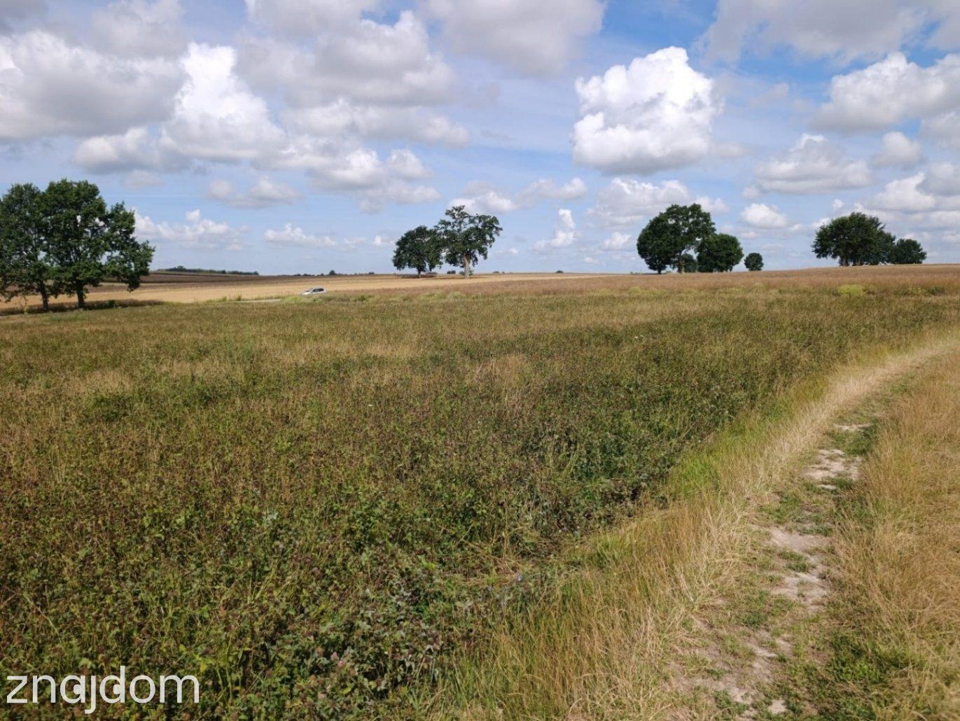 #Działka z potencjałem inwestycyjnym blisko miasta#Płouszowice#0.88ha - zdjęcie 7