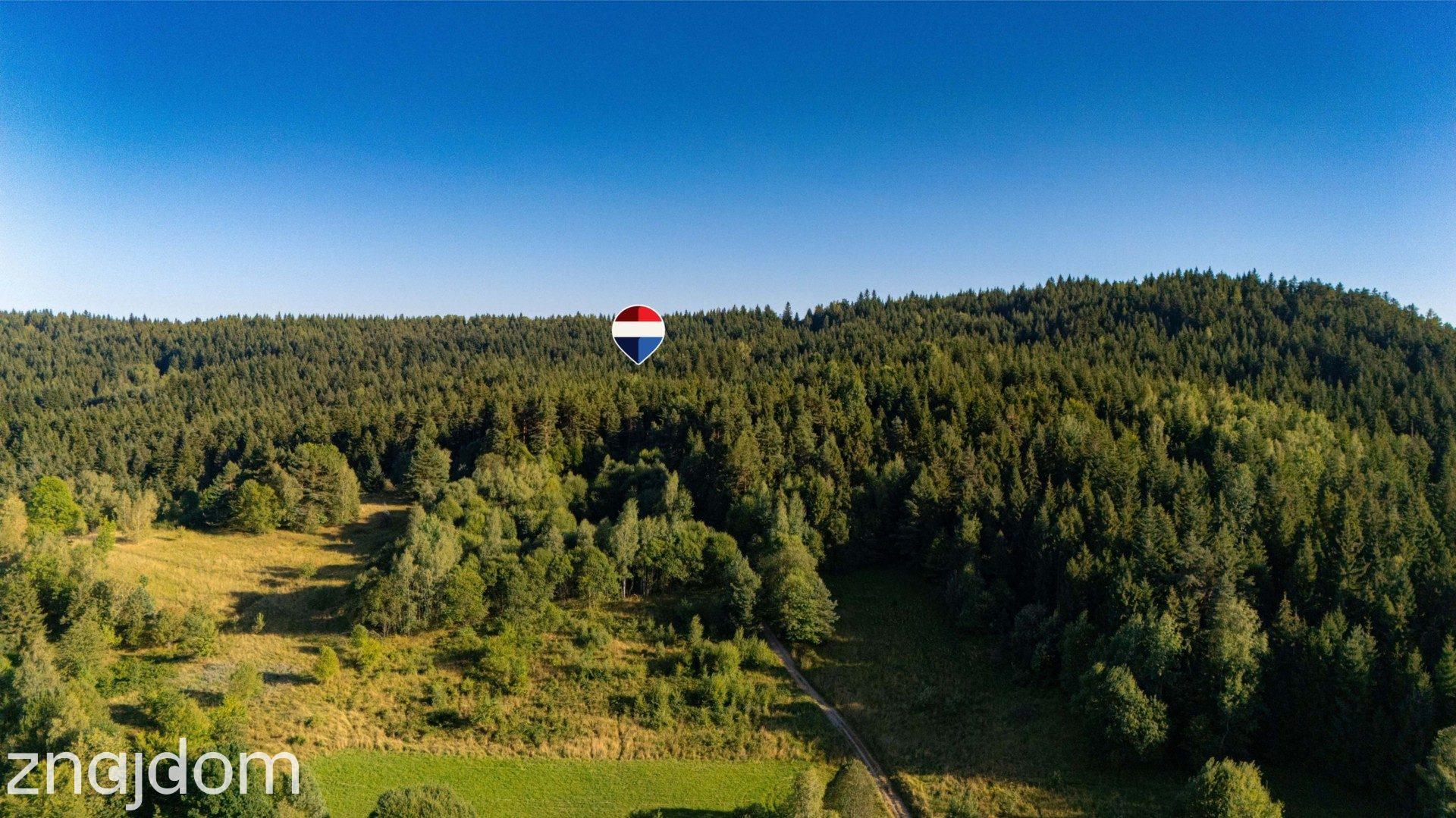Działka leśna 20 700 m² – Kasina Wielka