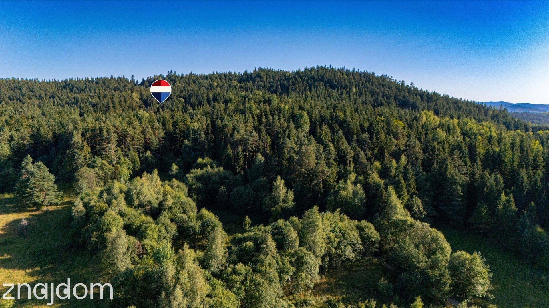Działka leśna 20 700 m² – Kasina Wielka - zdjęcie 2