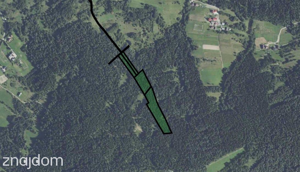 Działka leśna 20 700 m² – Kasina Wielka - zdjęcie 3