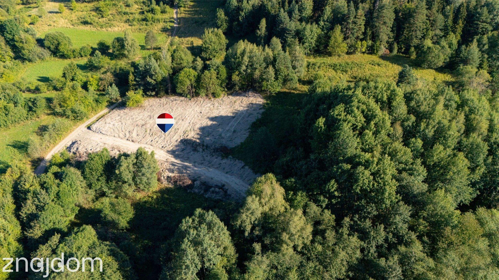 Działka rolna - Sprzedaż - Kasina Wielka Polska - zdjęcie 2