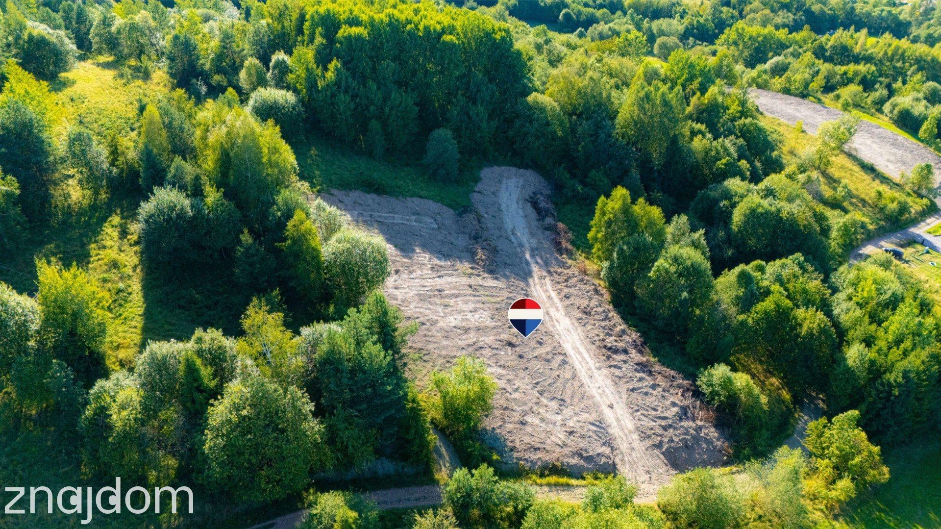 Działka rolna - Sprzedaż - Kasina Wielka Polska - zdjęcie 4