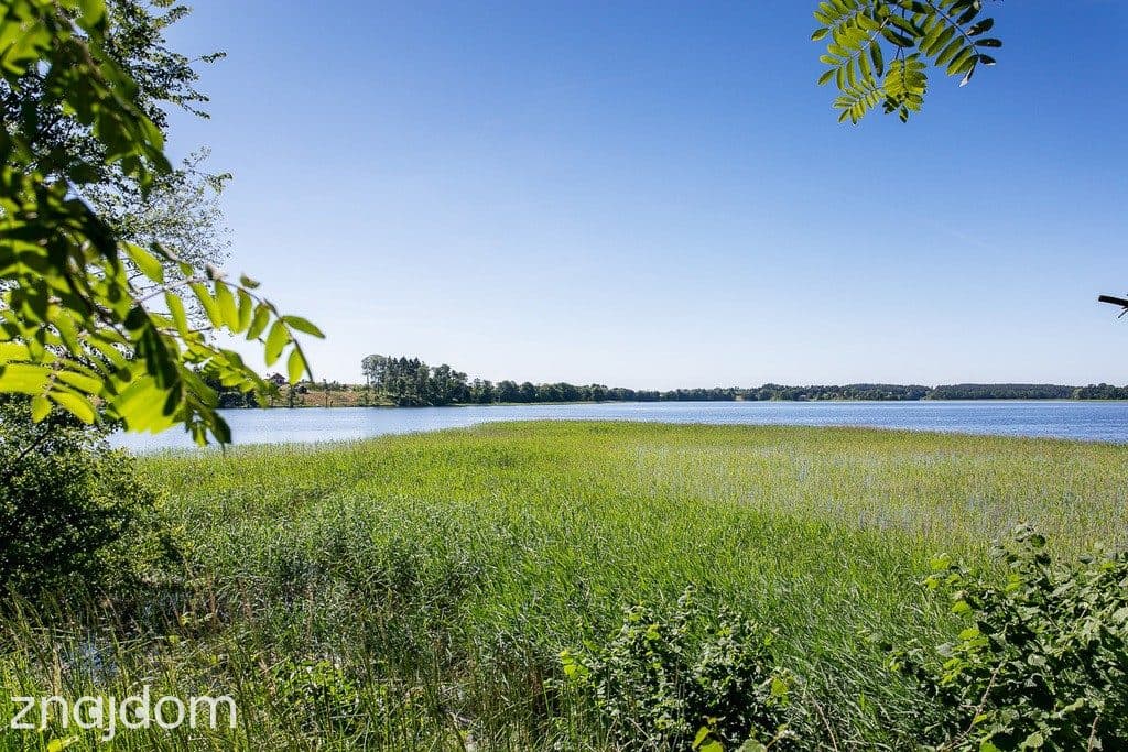 Działka 943 m² | 200 m od jeziora | Kretowiny, las - zdjęcie 5