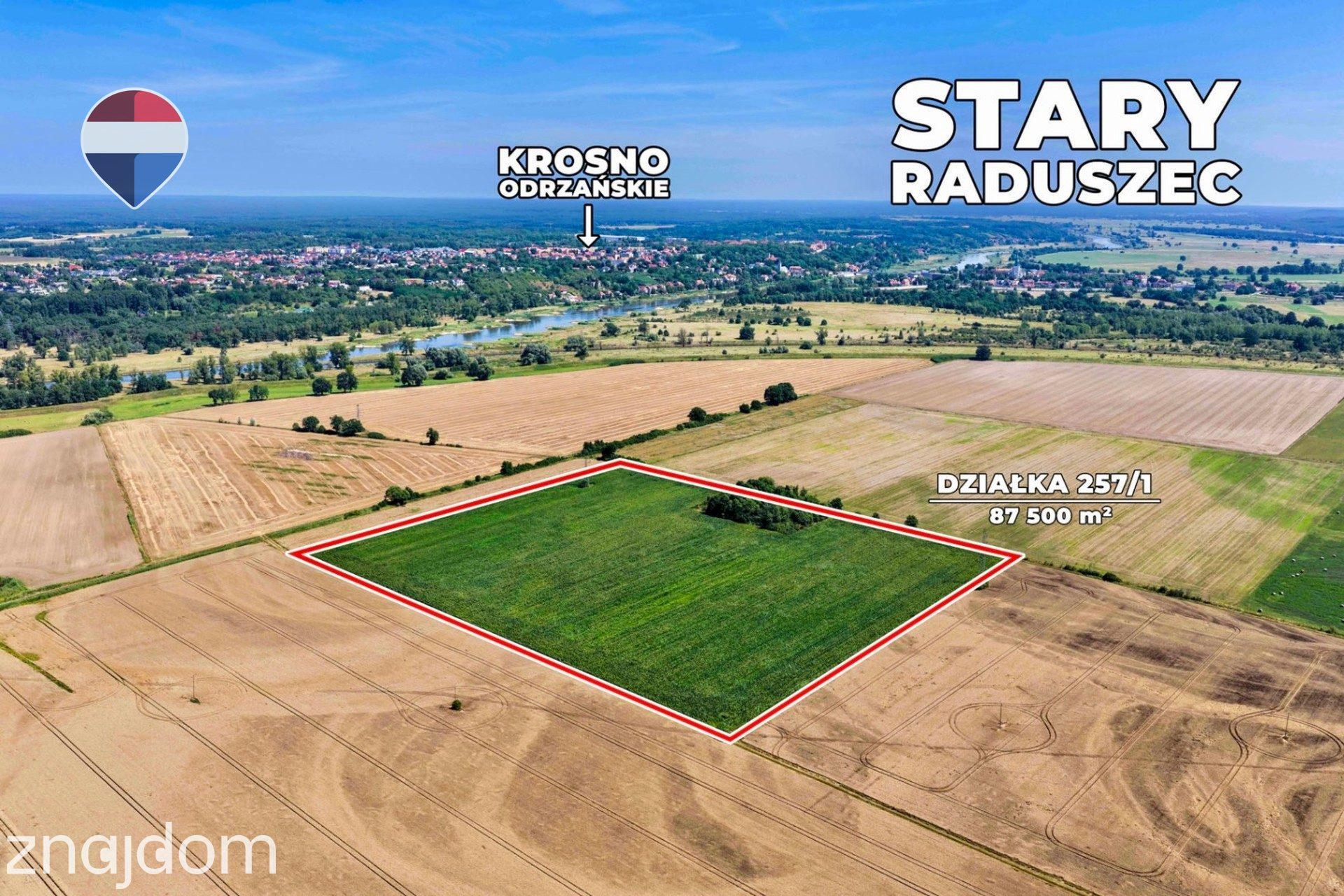 Na sprzedaż grunty orne RIIIa 8,75 ha