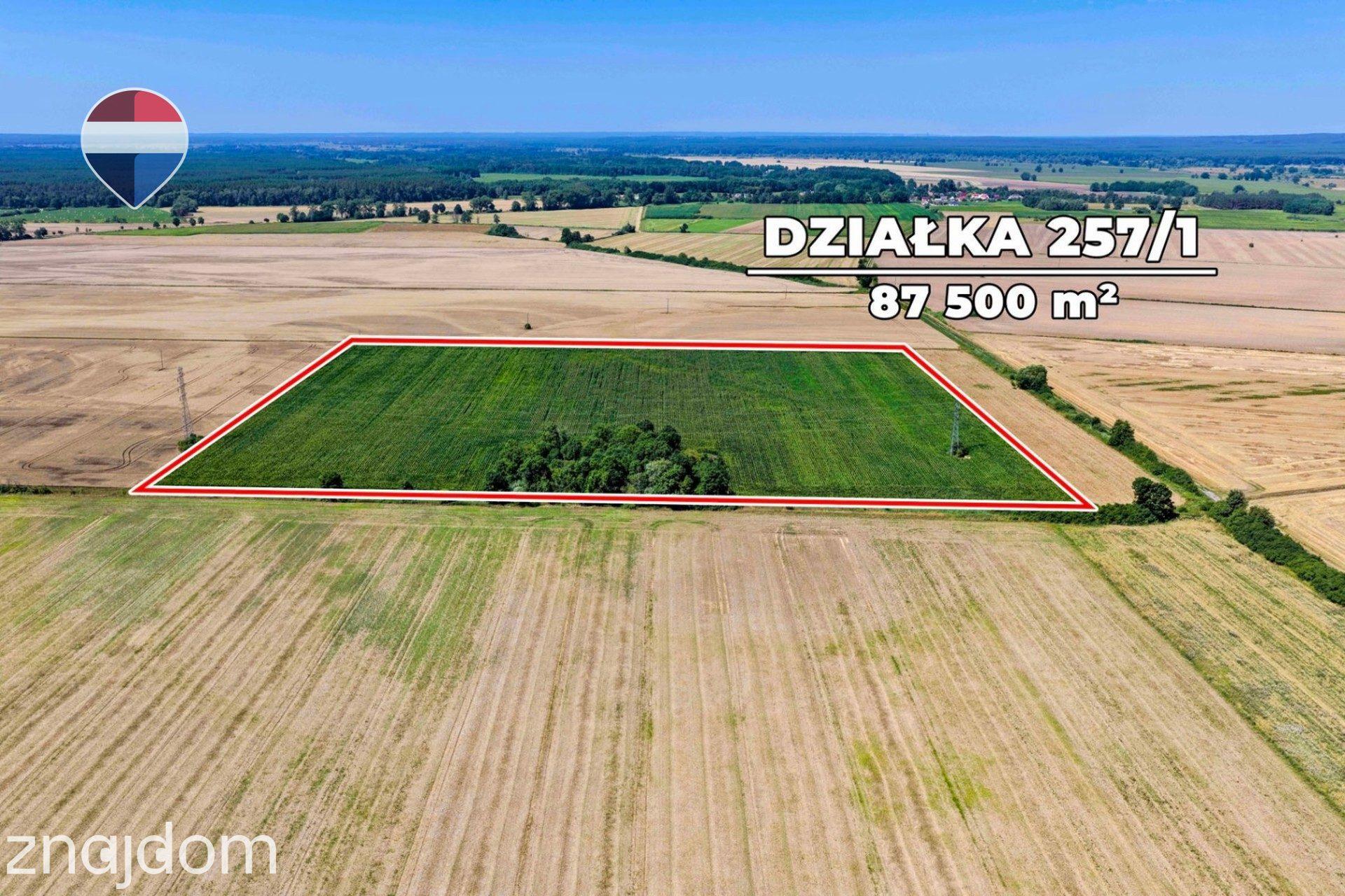 Na sprzedaż grunty orne RIIIa 8,75 ha - zdjęcie 10
