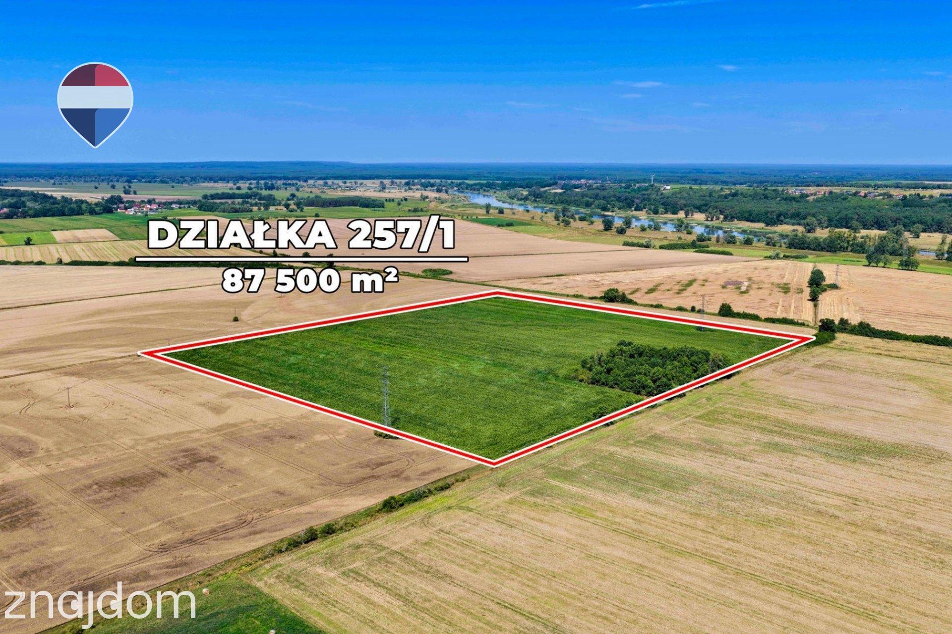 Na sprzedaż grunty orne RIIIa 8,75 ha - zdjęcie 11