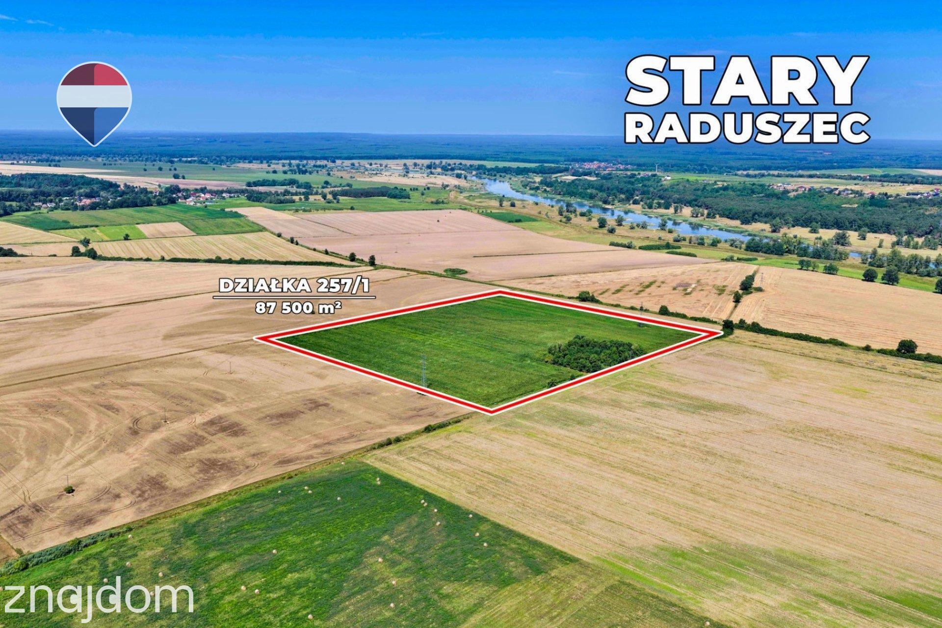 Na sprzedaż grunty orne RIIIa 8,75 ha - zdjęcie 12