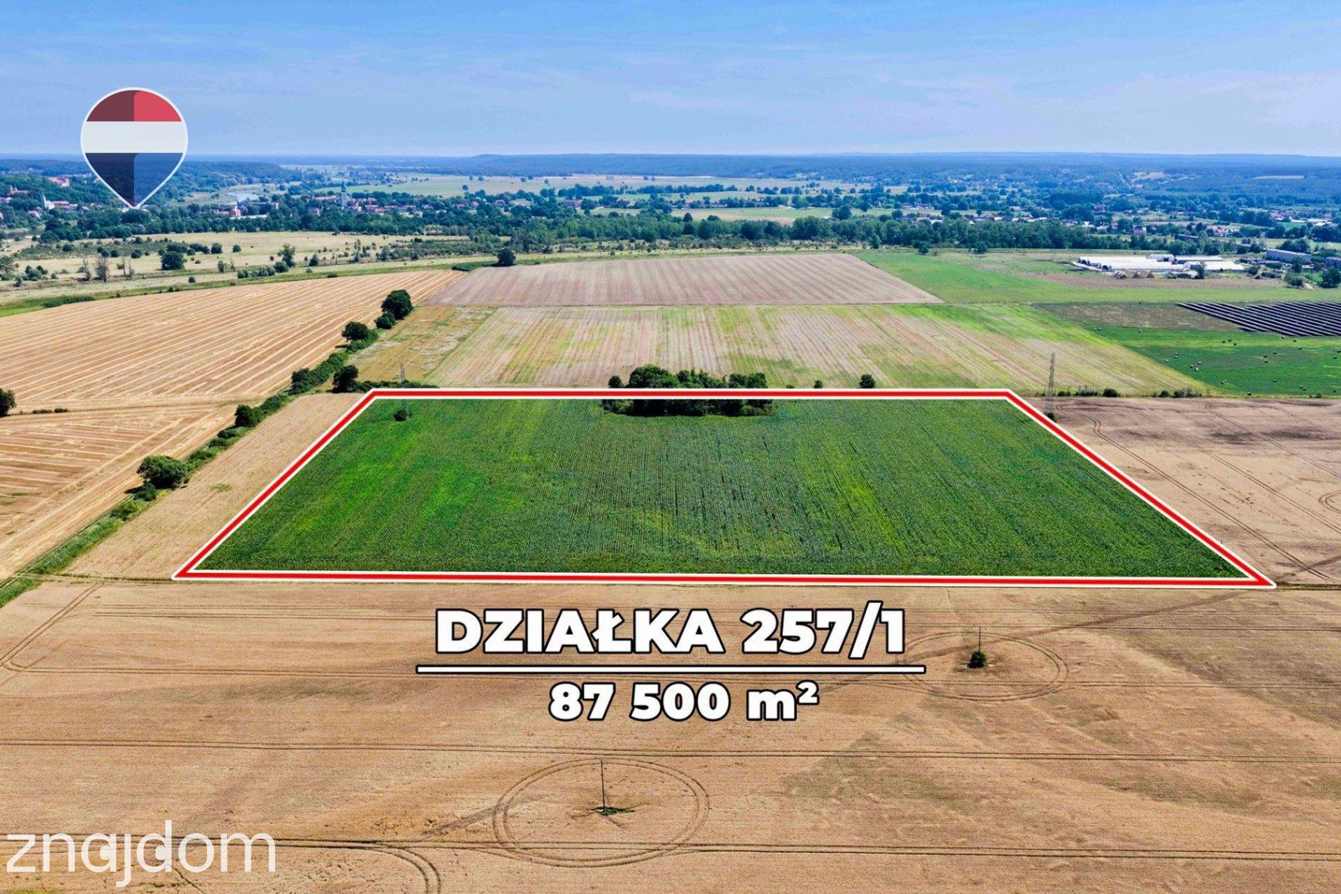 Na sprzedaż grunty orne RIIIa 8,75 ha - zdjęcie 4