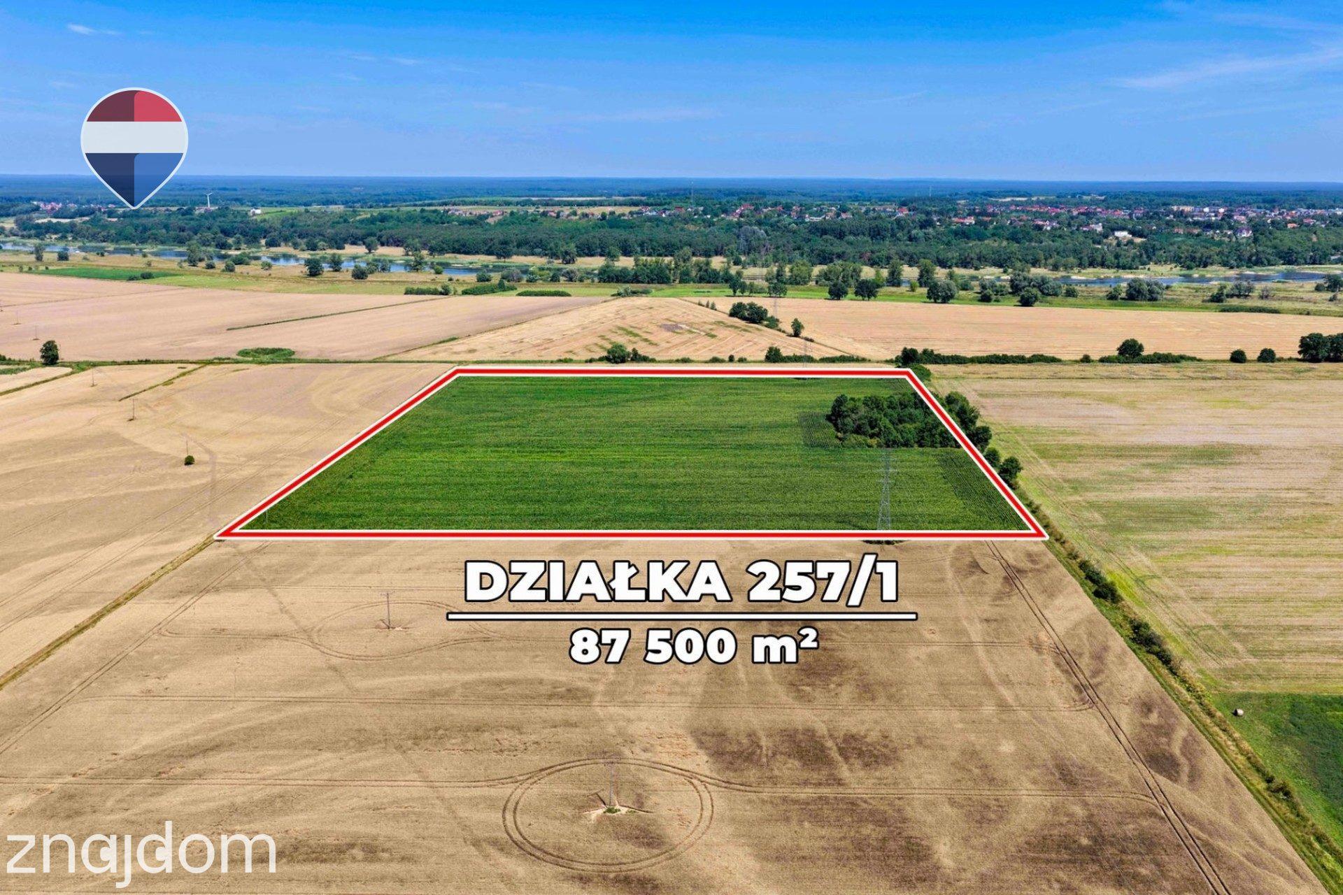 Na sprzedaż grunty orne RIIIa 8,75 ha - zdjęcie 5