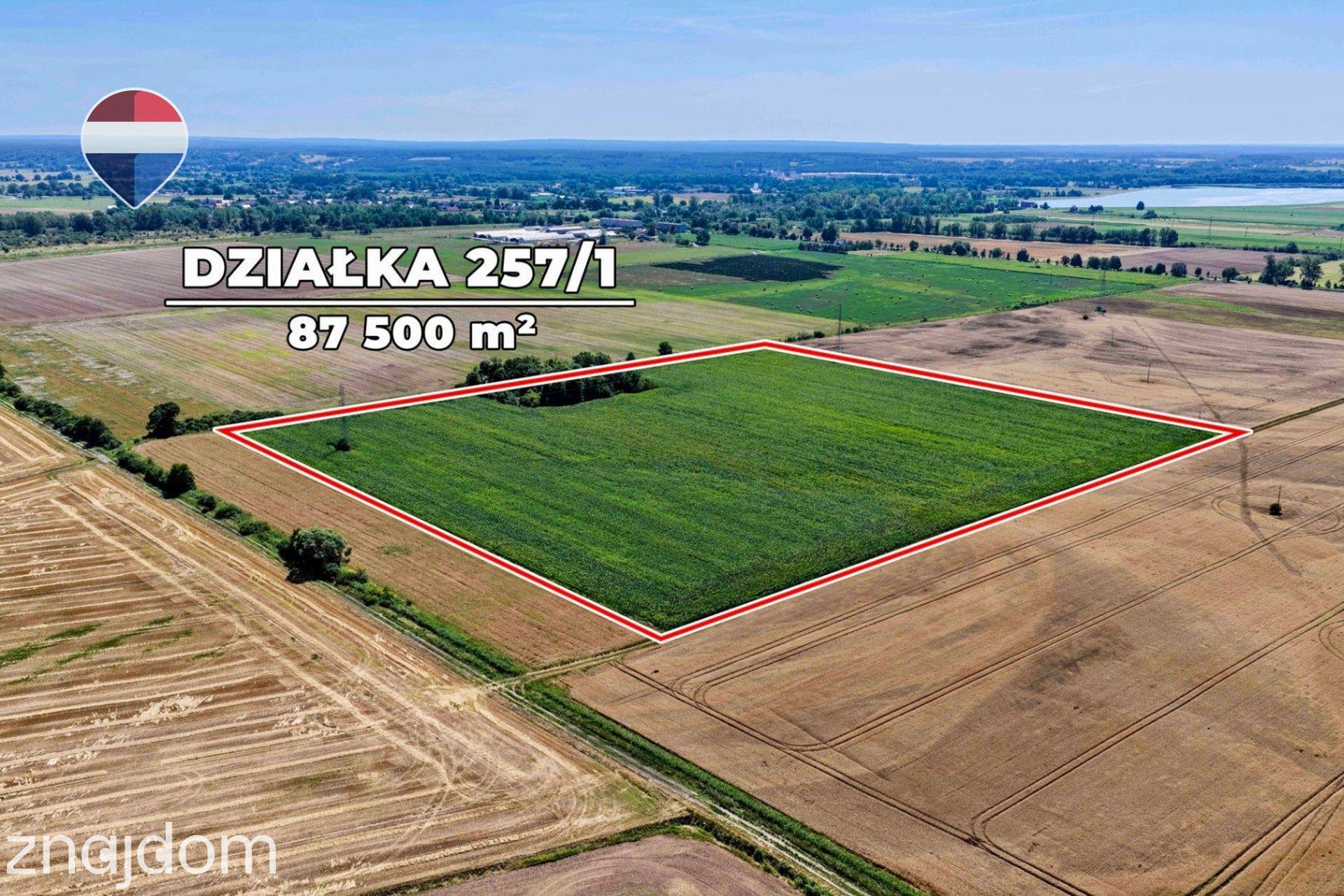 Na sprzedaż grunty orne RIIIa 8,75 ha - zdjęcie 7