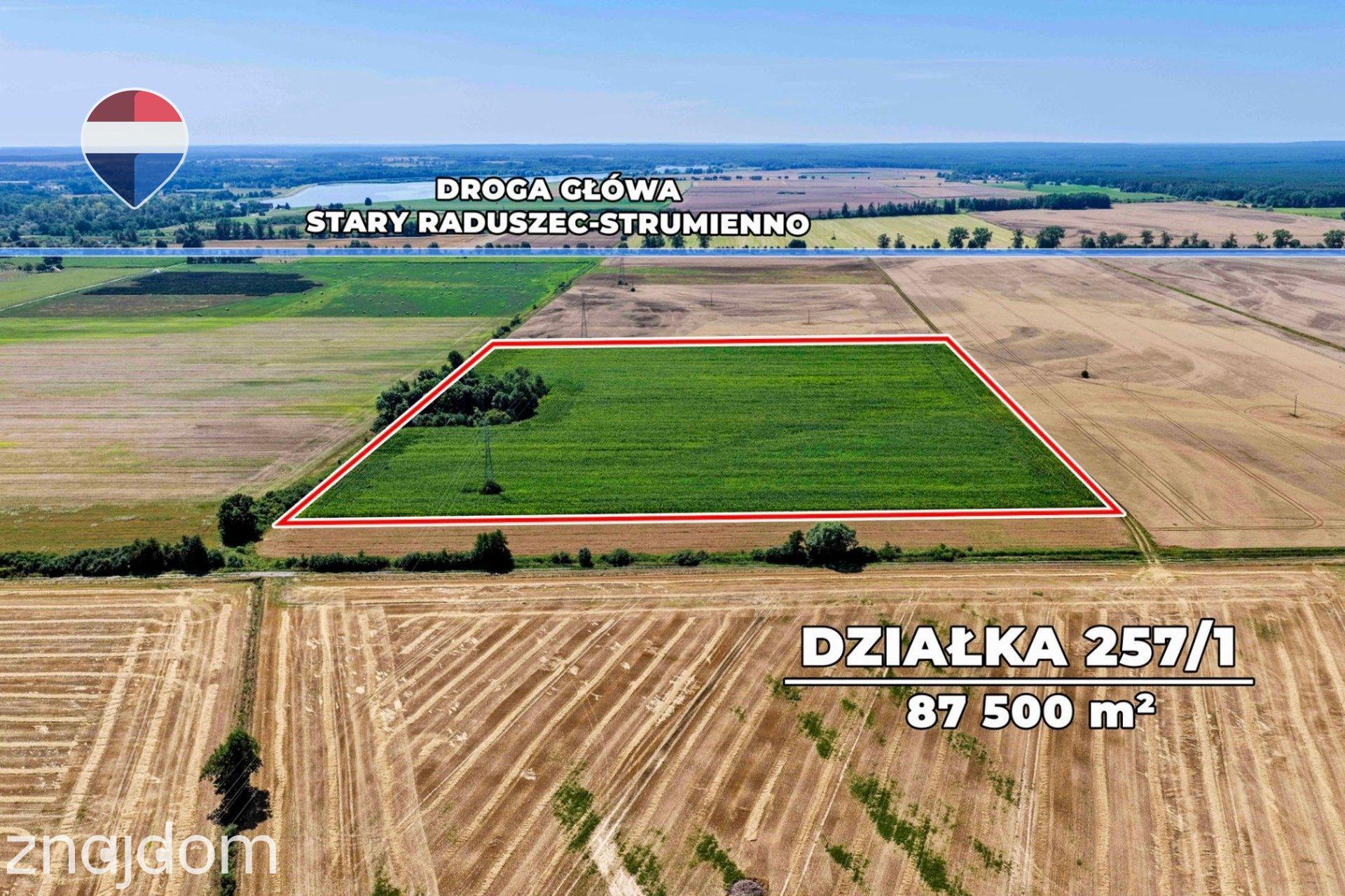 Na sprzedaż grunty orne RIIIa 8,75 ha - zdjęcie 8