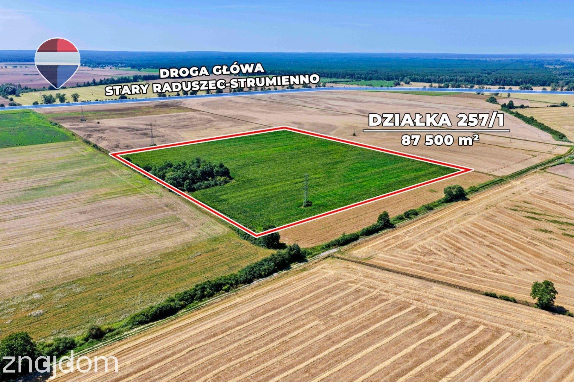 Na sprzedaż grunty orne RIIIa 8,75 ha - zdjęcie 9