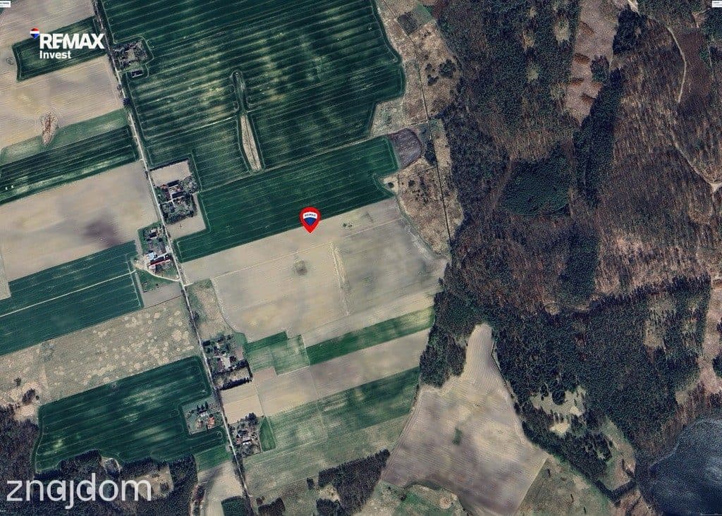 Na przedaż kompleks działek 146500m2 Nowe Worowo - zdjęcie 3
